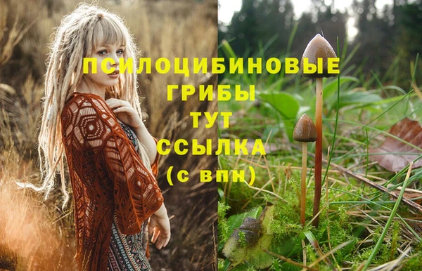 синтетический гашиш Алзамай