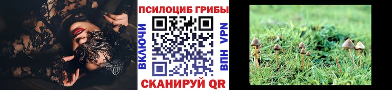 Псилоцибиновые грибы Magic Shrooms  Новоаннинский 